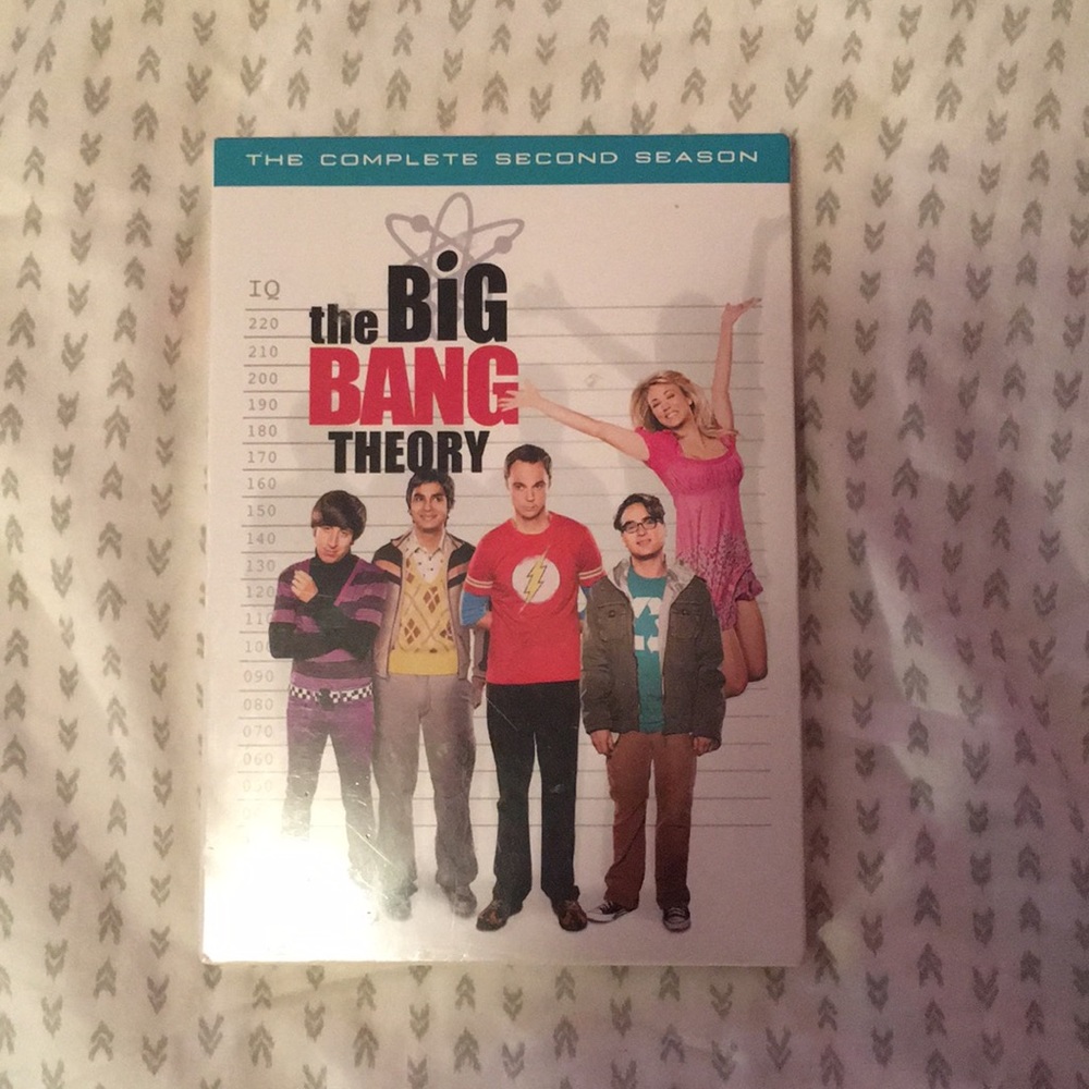 Big Bang Theory season 2